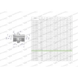 Hidraulinė jungtis bb xge m30x2 22l x 3 4