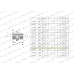 Hidraulinė jungtis bb xge m30x2 22l x 3 4