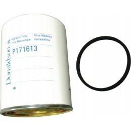 Donaldson P171613 Donaldson hidraulinis filtras