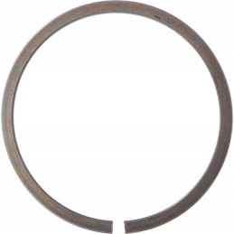 Išsiplėtimo laikantis žiedas