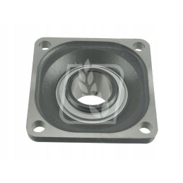 Korpusas su guoliu ina fi 60mm rcjy60 n