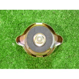 Radiatoriaus dangtelis c 360 bizon