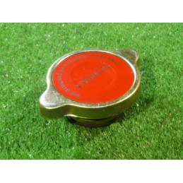 Radiatoriaus dangtelis c 360 bizon