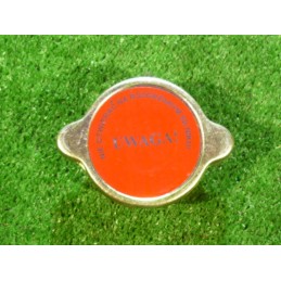 Radiatoriaus dangtelis c 360 bizon