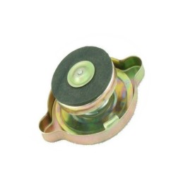 Radiatoriaus dangtelis c 360 bizon