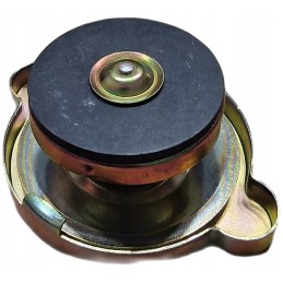 Radiatoriaus dangtelis c 360 bizon