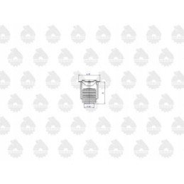 Silfono termostatas c 360 originalus ursus