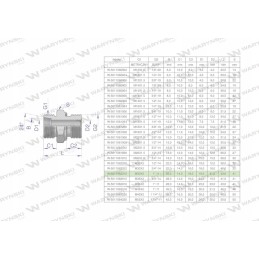 Hidraulinė jungtis bb xge m30x2 22l x 1