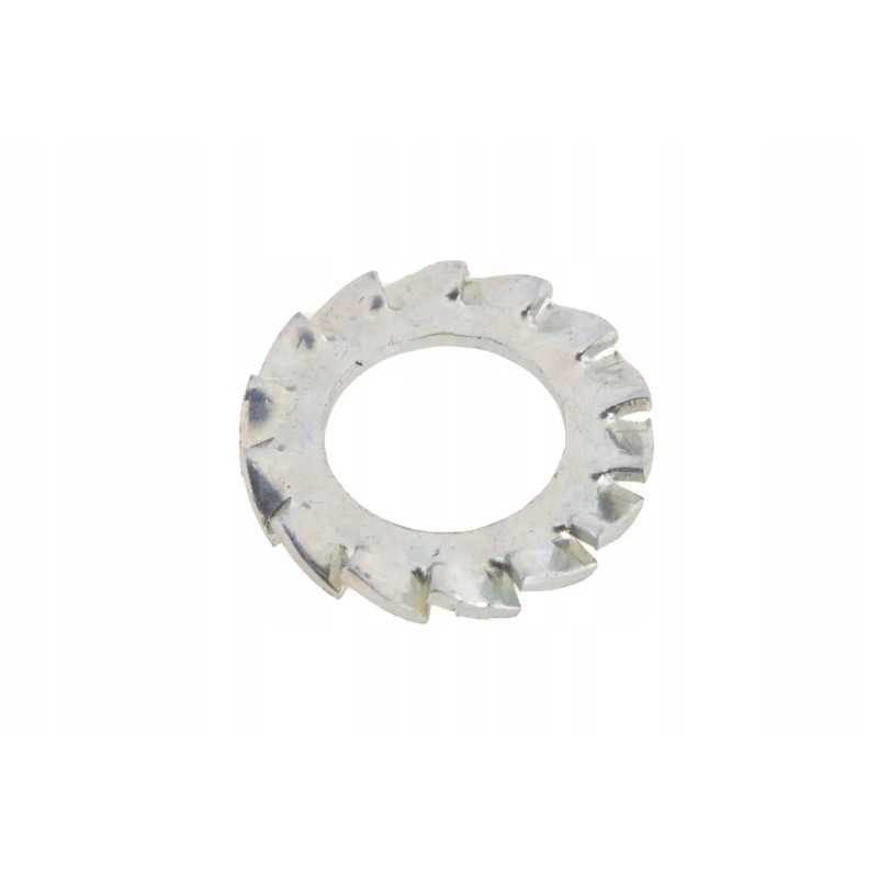 040114 dantyta poveržlė m8