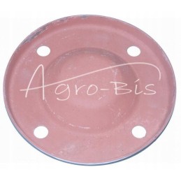 Galutinis pavaros dangtis t 25 colių