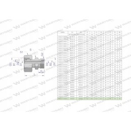 Hidraulinė jungtis AB M45x2 M36x2 Warynski