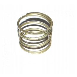 Trol krautuvo užrakto spyruoklė