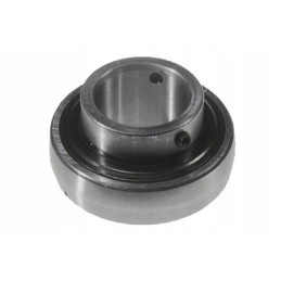 Vpj2467 guolis