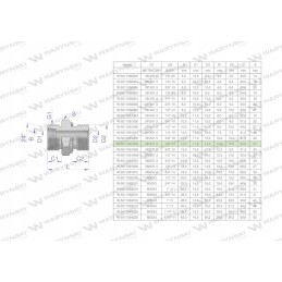 Hidraulinė jungtis bb xge m18x1 5 12l x 1 2