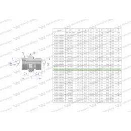 Hidraulinė jungtis bb xge m22x1 5 15l x 3 8