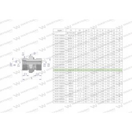 Hidraulinė jungtis bb xge m22x1 5 15l x 3 8