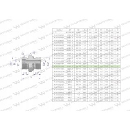 Hidraulinė jungtis bb xge m18x1 5 12l x 1 2