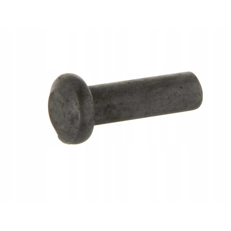 Diskinio rato kniedė 12 5x40 8mm m ferguson ursus