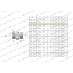 Hidraulinė jungtis bb xge m14x1 5 08l x 1 8