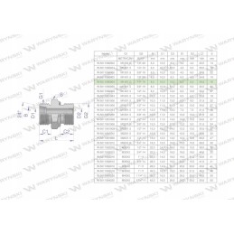 Hidraulinė jungtis bb xge m14x1 5 08l x 1 4