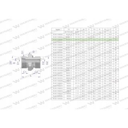 Hidraulinė jungtis bb xge m12x1 5 06l x 3 8