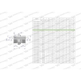 Hidraulinė jungtis bb xge m14x1 5 08l x 3 8