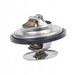 Fendt f824200050060 termostato keitimas