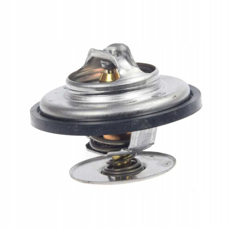 Fendt f824200050060 termostato keitimas