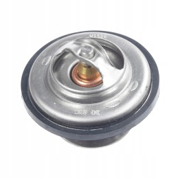 Fendt f824200050060 termostato keitimas