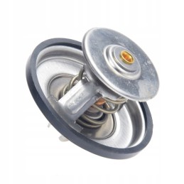 Fendt f824200050060 termostato keitimas