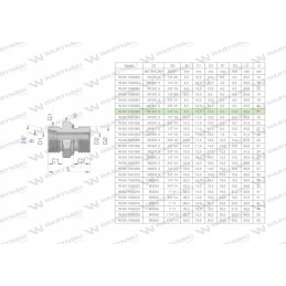 Hidraulinė jungtis bb xge m14x1 5 08l x 1 2