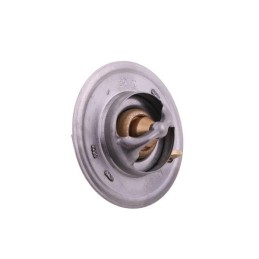 Termostatas mf 3 originalus ursus 2485c022u