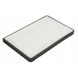 Fleetguard AF55861 salono filtras
