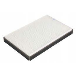 Fleetguard AF55861 salono filtras