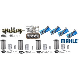 Variklio remonto komplektas c 360 visas mahle variklis