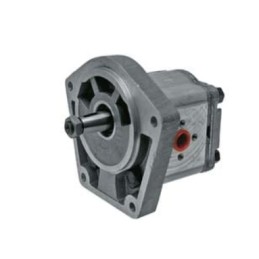 Hidraulinio siurblio korpusas 704330r95