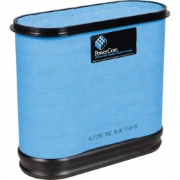 AL172781 variklio oro filtras