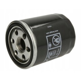 Alyvos filtras h97w01 hengst