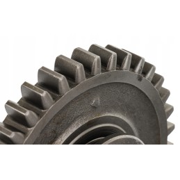 Ratas ir IV bei atbulinė pavara su 36 Ursus C 330m