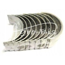 Pagrindinių guolių komplektas r3 c 385 import