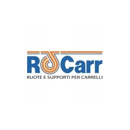 Pa ratas su paprastu guoliu ro-carr 100mm įsk