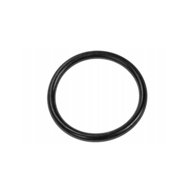 Pagrindinio stabdžių cilindro žiedo sandarinimo žiedas