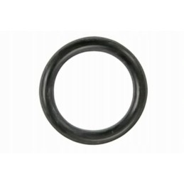 Pagrindinio stabdžių cilindro žiedo sandarinimo žiedas