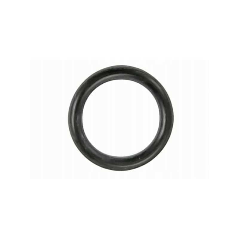 Pagrindinio stabdžių cilindro žiedo sandarinimo žiedas