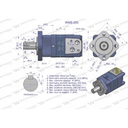 Orbitinis hidraulinis variklis 250 cm3, Warynski aps./min