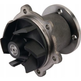 Vandens siurblys 136399153kr