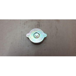 Radiatoriaus dangtelis mažas mtz belarus pronar originalus