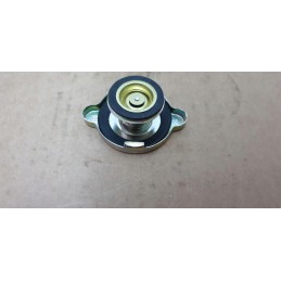 Radiatoriaus dangtelis mažas mtz belarus pronar originalus