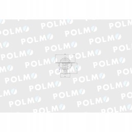 Termostatas 2856543 Steyr New Holland Case Polmo