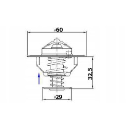 Termostatas 2856543 Steyr New Holland Case Polmo